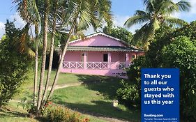 The Pink House